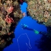 swimthru_cc_v_0705_png1688.jpg